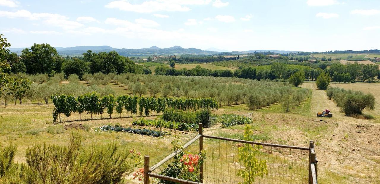 Vila Casina Di Pacina Abbadia di Montepulciano Exteriér fotografie